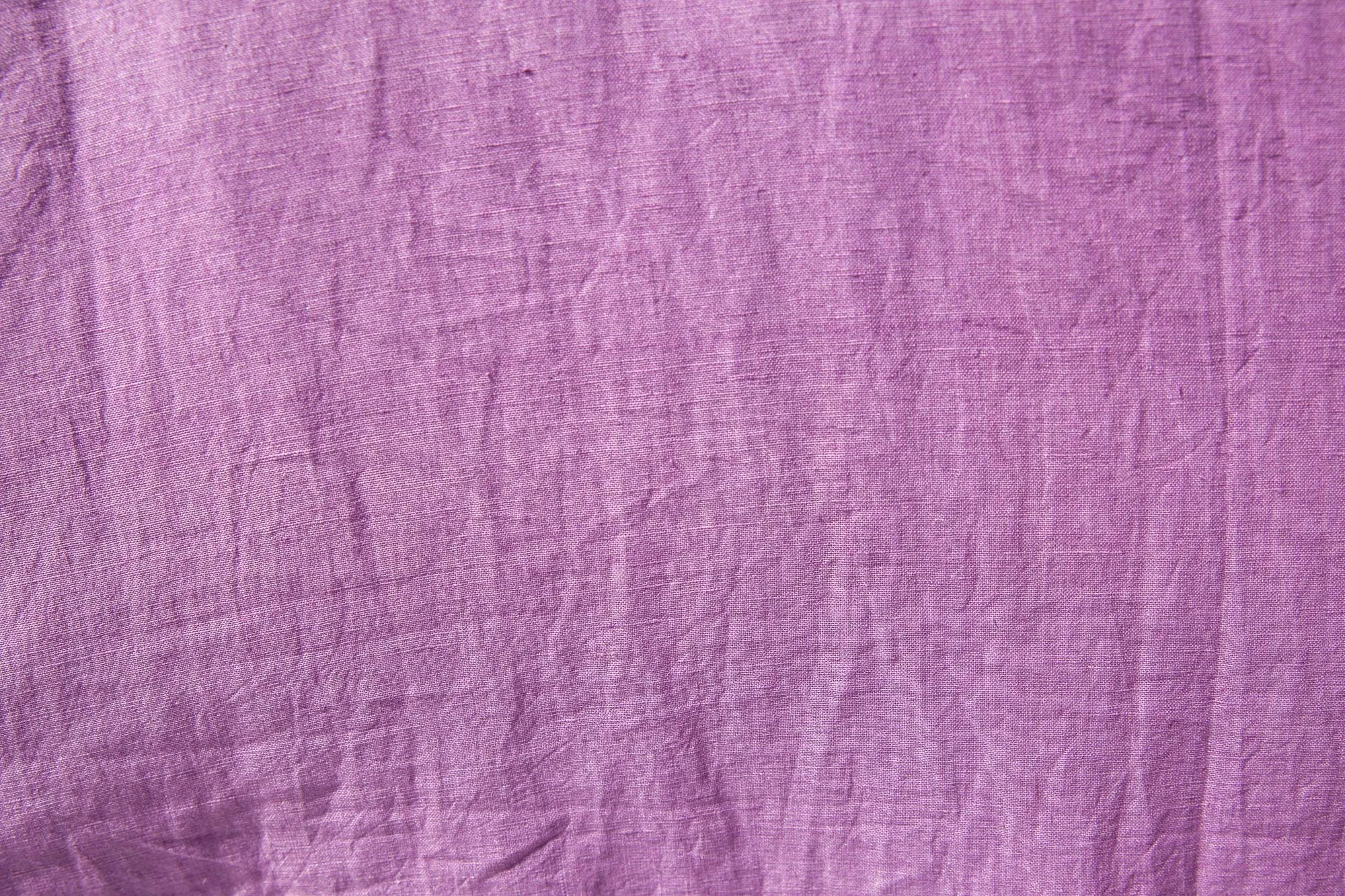 Taro