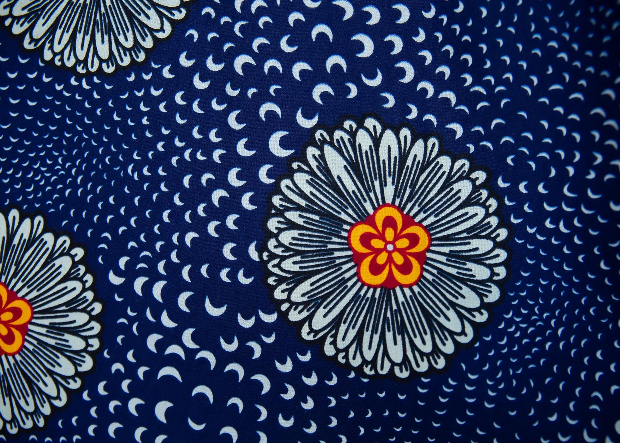 Zinnia